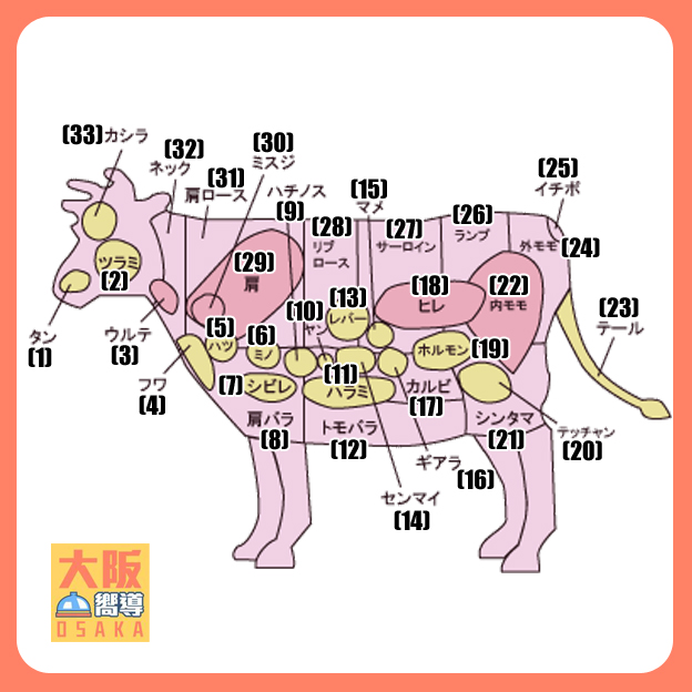 牛肉部位中日對照表｜日本燒肉 日本美食 黑毛和牛 燒肉 國產牛