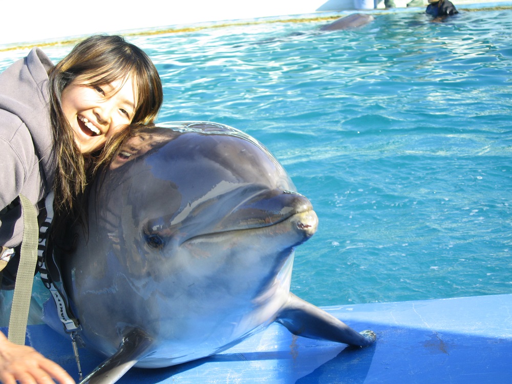 大阪親子 世界牧場 親親海豚 與海豚拍照