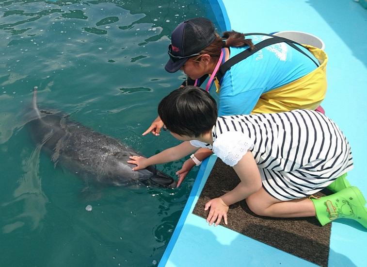 大阪親子 世界牧場 親親海豚 觸摸海豚