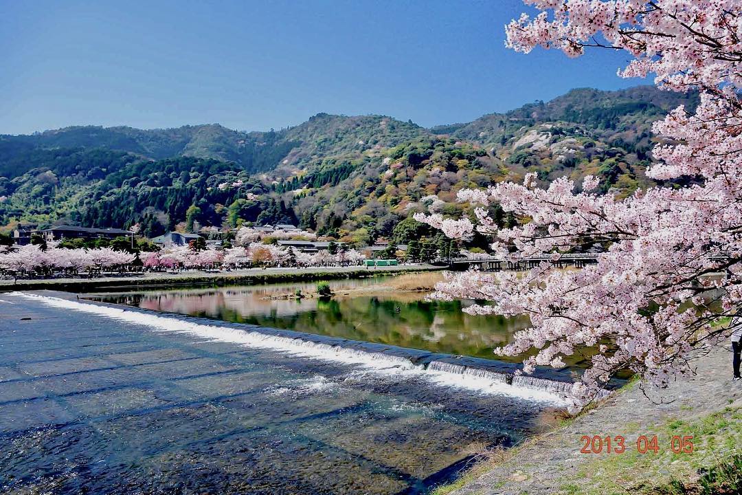 京都 嵐山 櫻花 公園