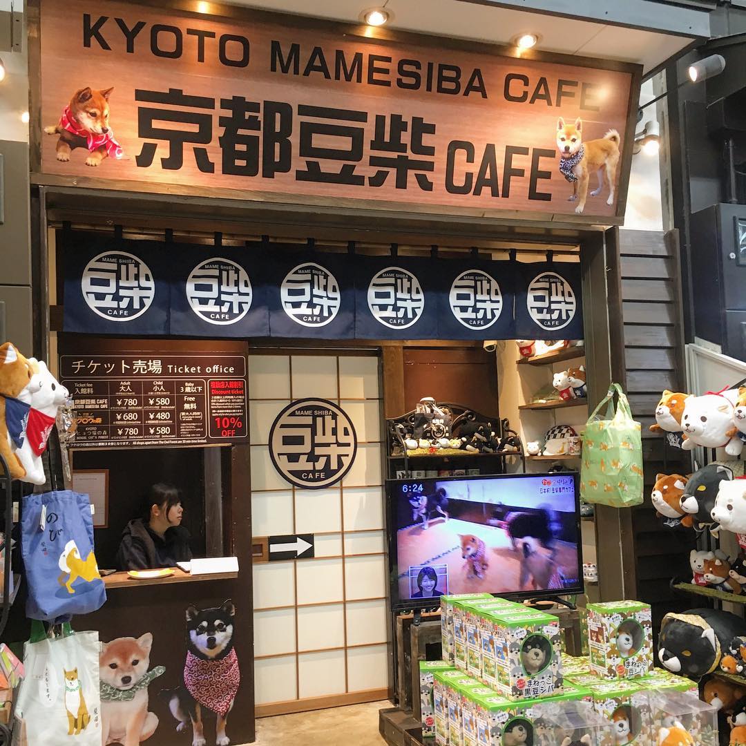 日本豆柴CAFE