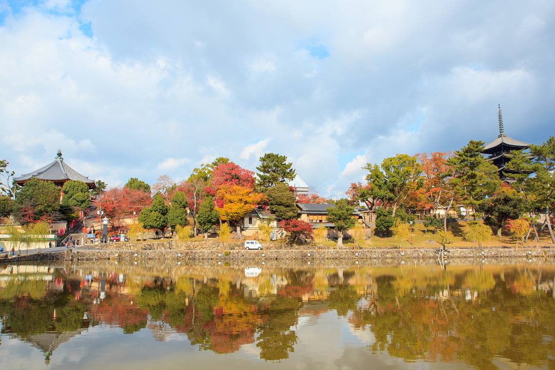 京阪自由行！奈良必去行程懶人包(景點篇) - 興福寺 猿澤池