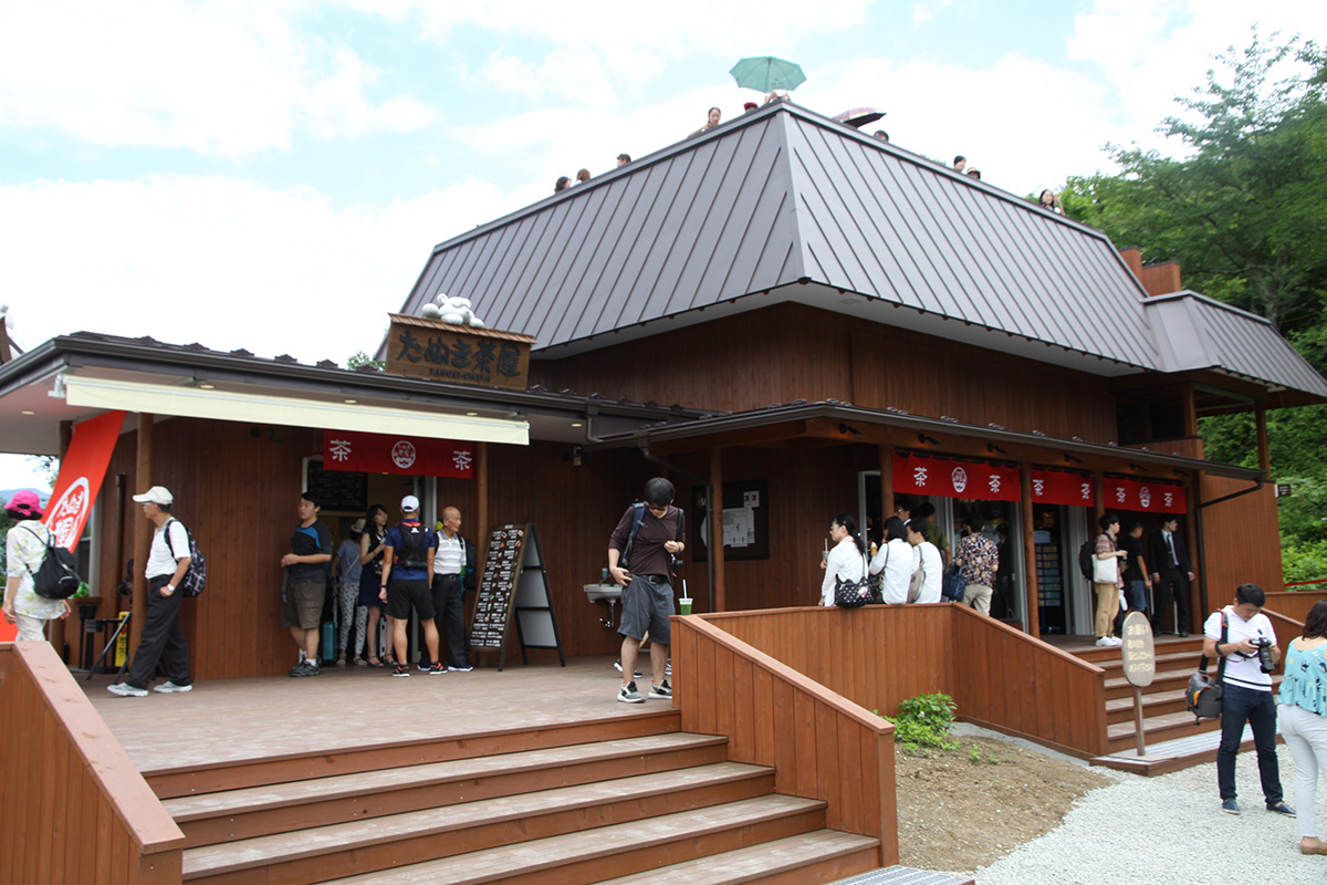 富士山景點 天上山公園 たぬき茶屋 狸貓茶屋