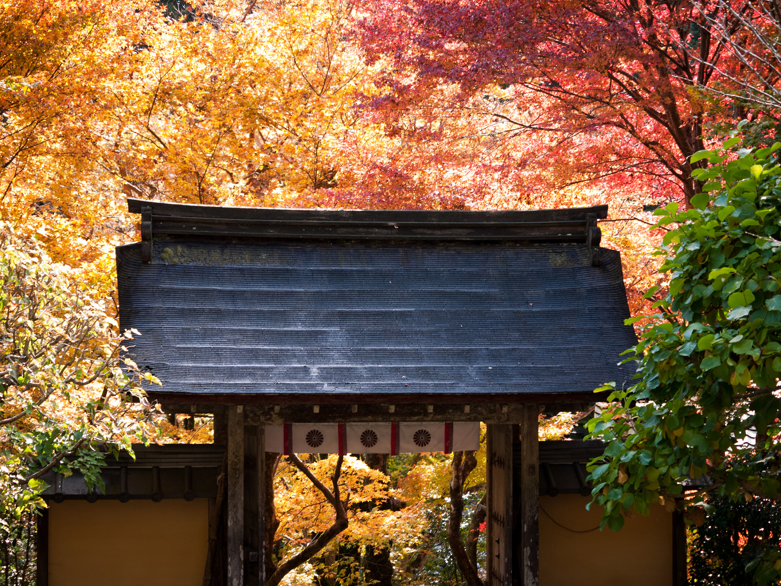 京都一天行程：大原溫泉一泊二食