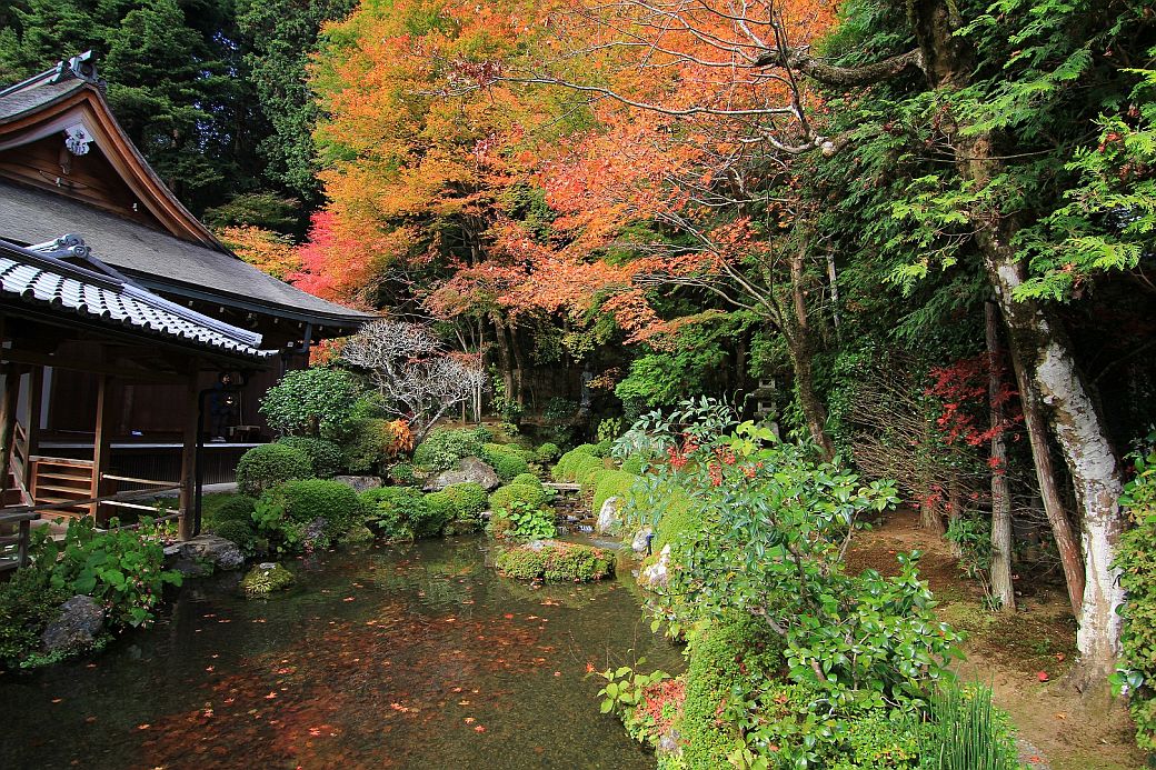 京都一天行程：大原溫泉一泊二食