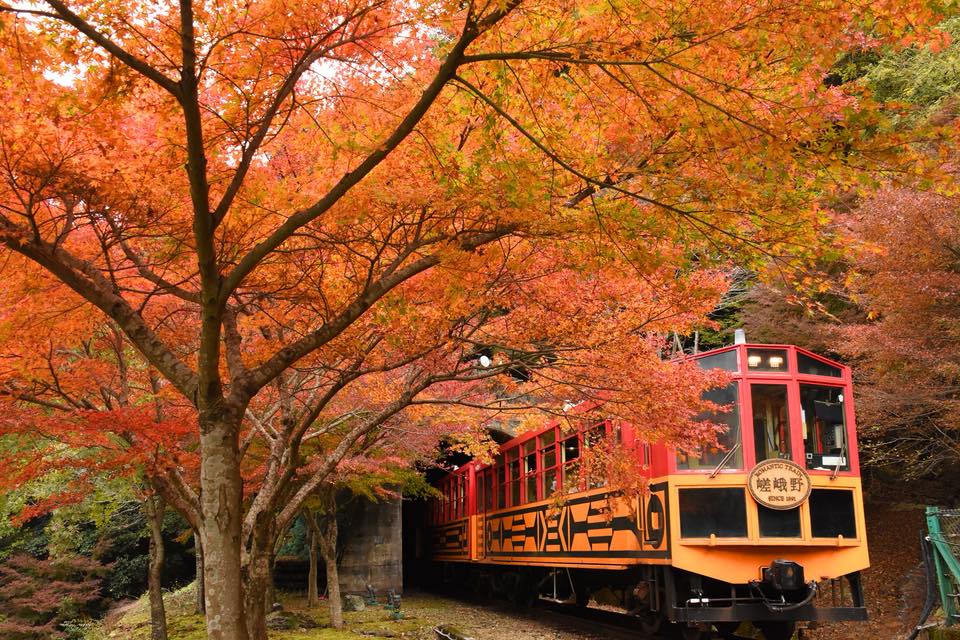 京都一天行程：嵐山紅葉遊