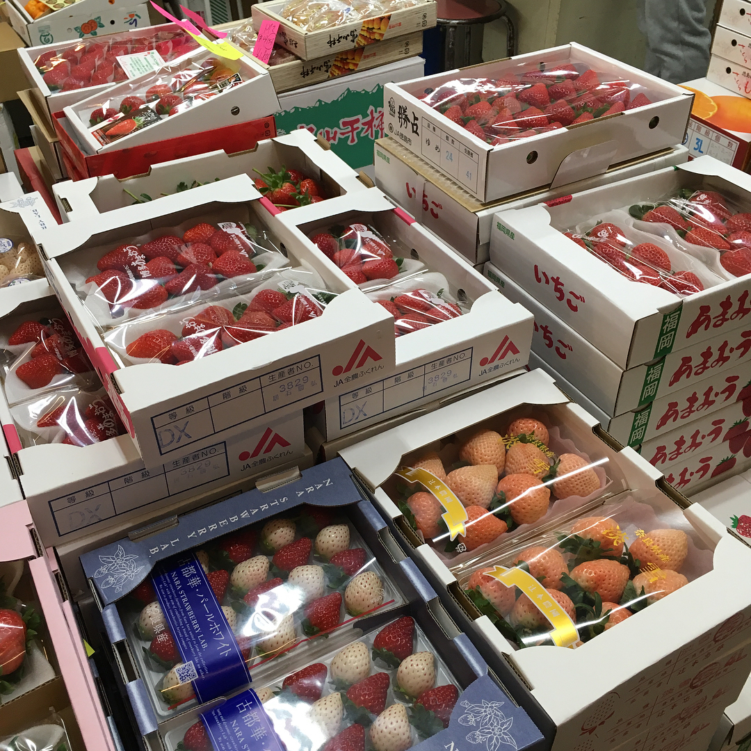 日本出境香港台灣入境食品規定 水果 士多啤梨 蜜瓜
