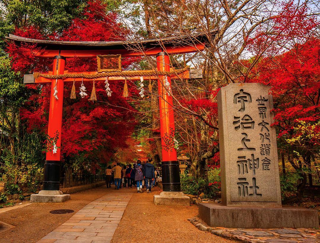 京都世界遺產宇治上神社