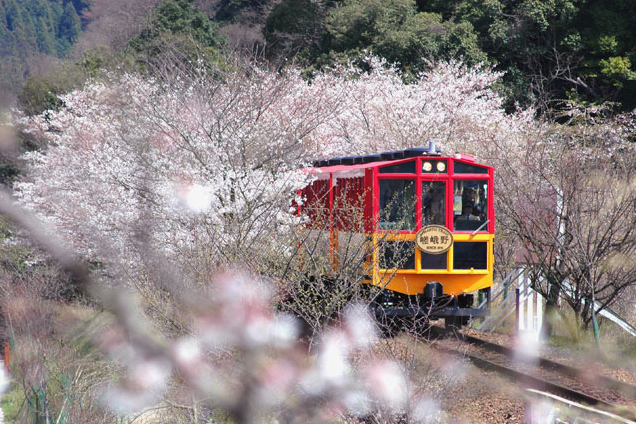 京都 嵐山 嵐山小火車