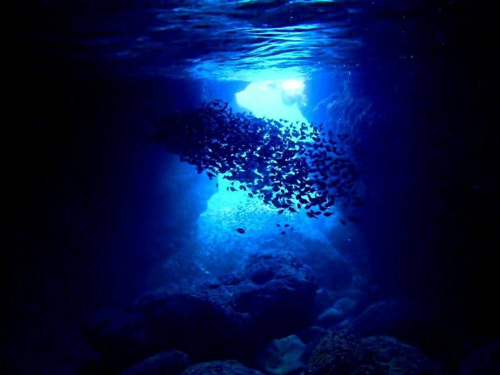 伊良部島必去必玩景點 青之洞窟潛水體驗