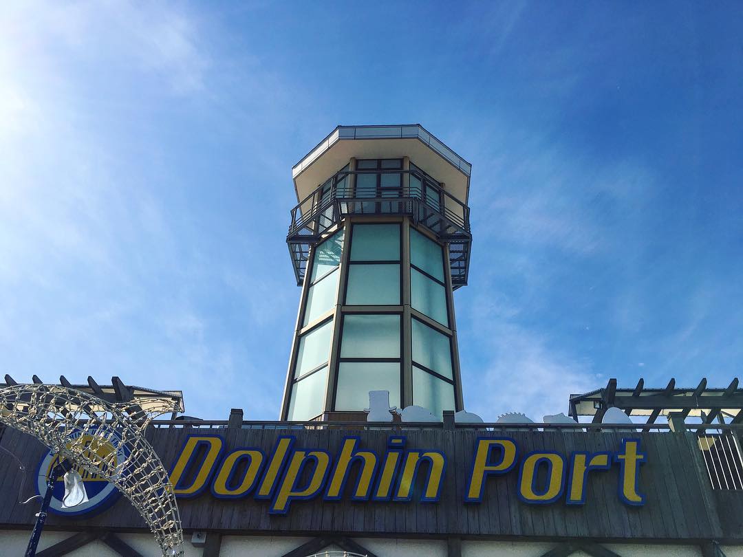 海豚港 ドルフィンポート Dolphin Port