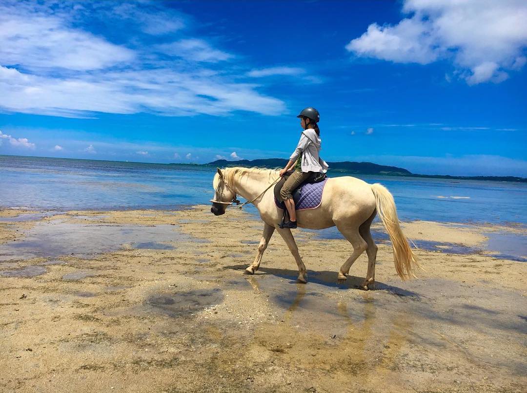 海灘騎馬體驗：波ん馬