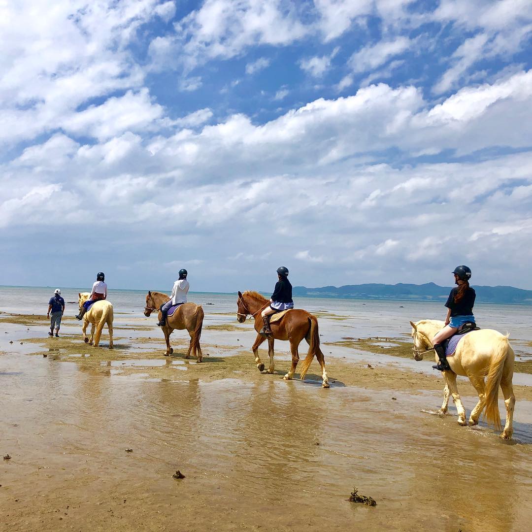 海灘騎馬體驗：波ん馬