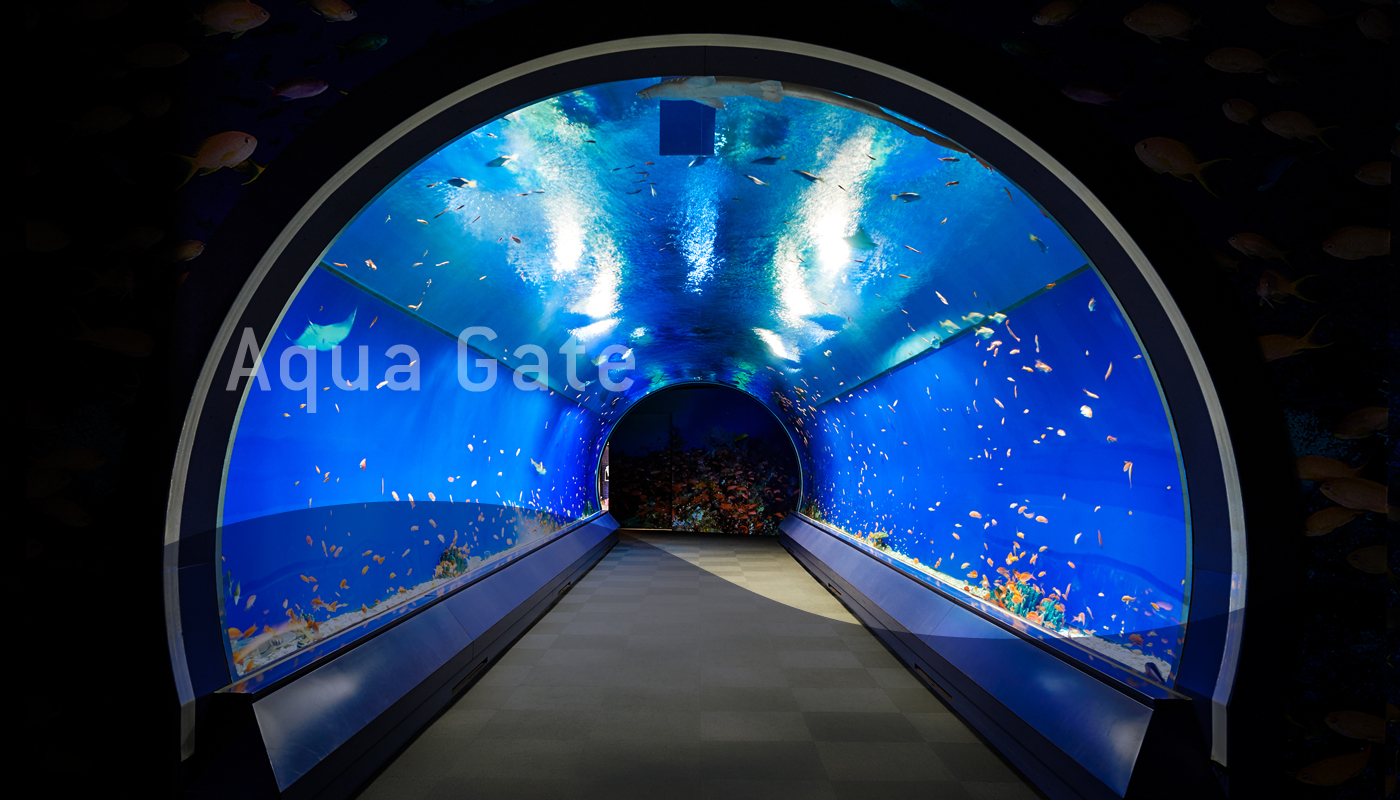 大阪海遊館 海底隧道 魔鬼魚