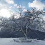 竹田城跡 冬季下雪 雪景