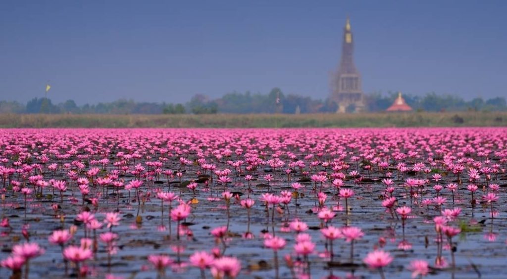 泰國自由行 沙功那空府 Sakon Nakhon Phra That Choeng Chum 秤泰遺跡 農漢湖（Nong Han Lake）