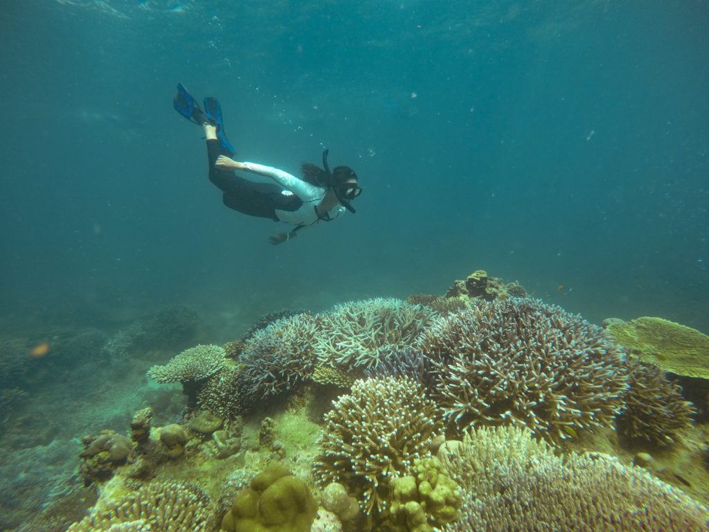 泰國浮潛 泰國潛水 泰國水上活動 泰國海島