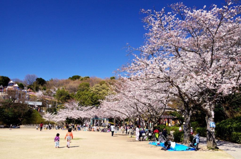 福岡親子遊必去東平尾公園，佔地廣，春季可以看到櫻花，是福岡自由行親子好去處