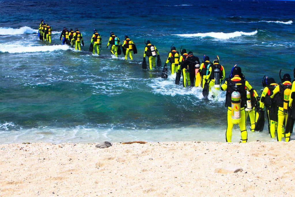 綠島三大潛水區之一的大白沙，每年吸引許多潛水客到此朝聖，無論是在綠島浮潛或潛水，也能享受踩踏大白沙的柔白細沙