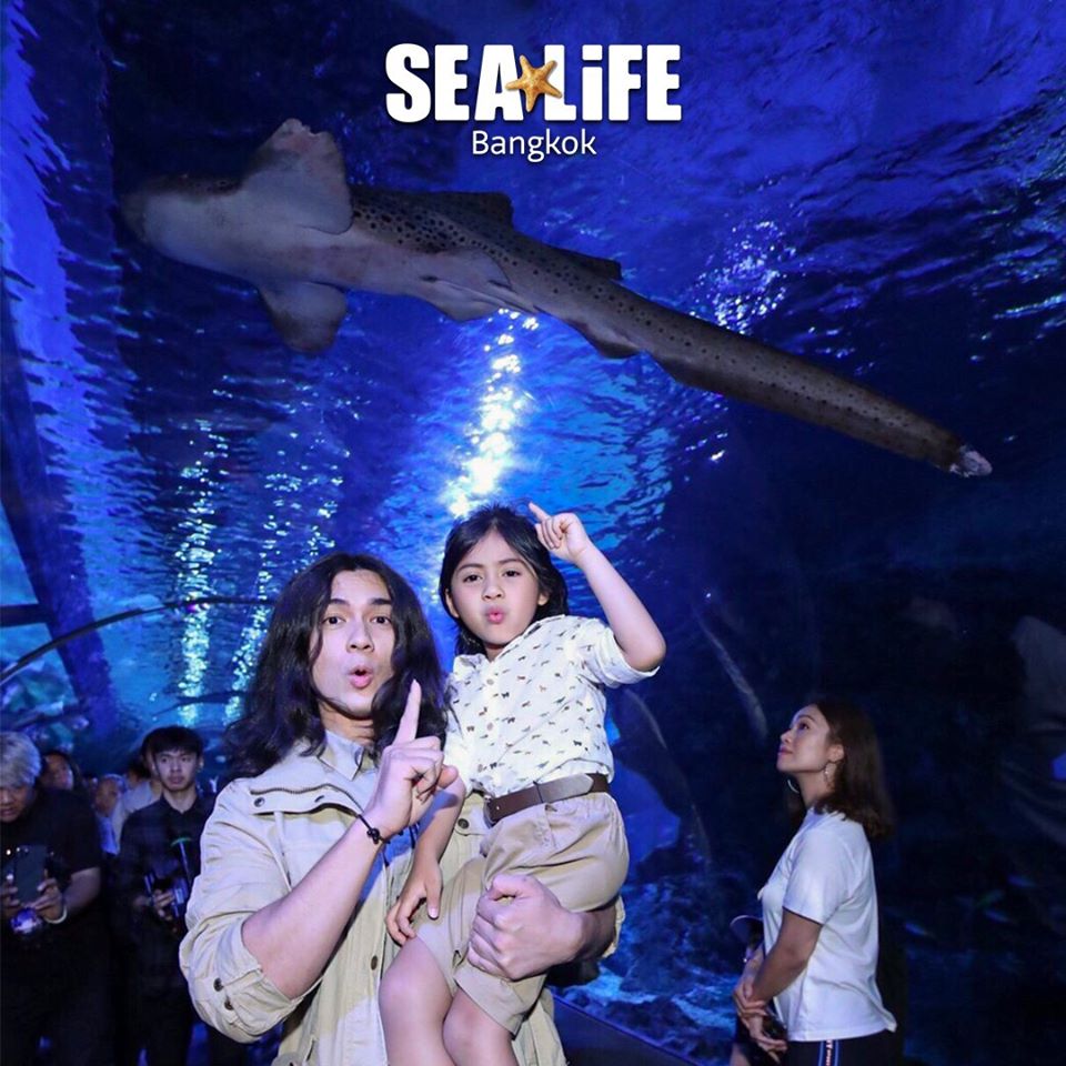 曼谷水族館 曼谷暹羅海洋世界可以搭玻璃船親近超過400種海洋生物（又稱海洋世界水族館）曼谷景點 曼谷親子景點