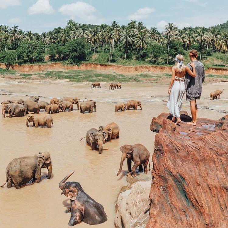 泰北旅遊 泰北自由行 泰北大象保育區 泰北大象保育中心 親親大象 清邁大象自然公園 Elephant Nature Park 清萊大象保育區 Elephant Valley Thailand 素可泰大象保育區 Boon Lott's Elephant Sanctuary