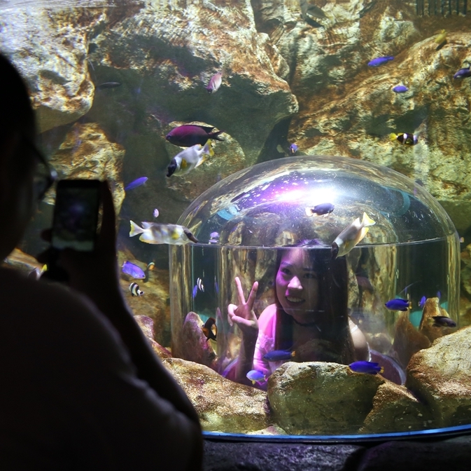 Rock Pool 曼谷水族館 曼谷暹羅海洋世界可以搭玻璃船親近超過400種海洋生物（又稱海洋世界水族館）曼谷景點 曼谷親子景點