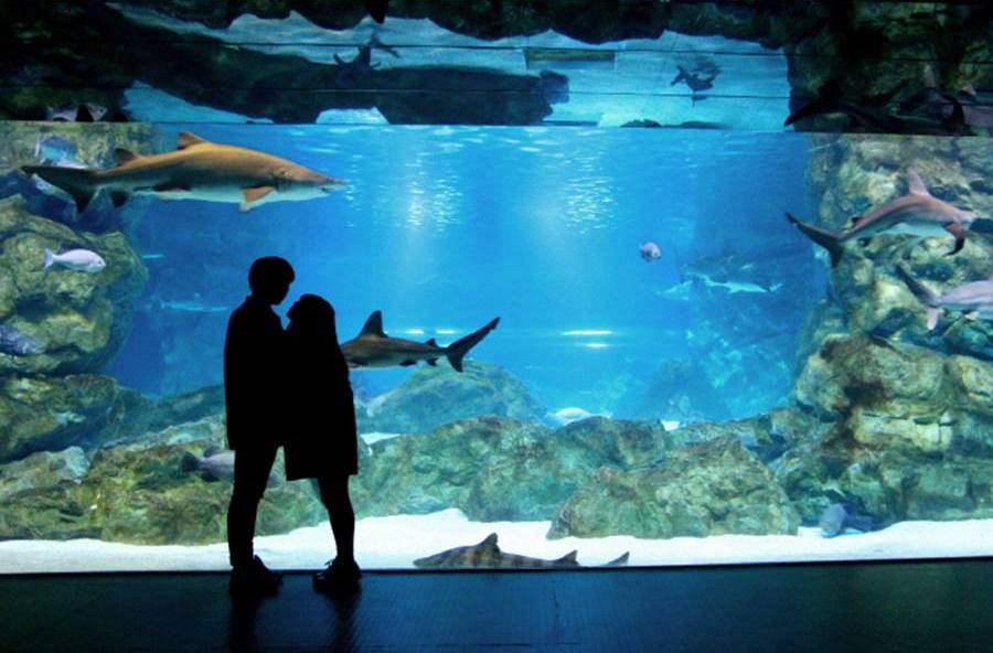 COEX水族館 Ryan 首爾親子自由行 首爾親子遊 首爾親子景點