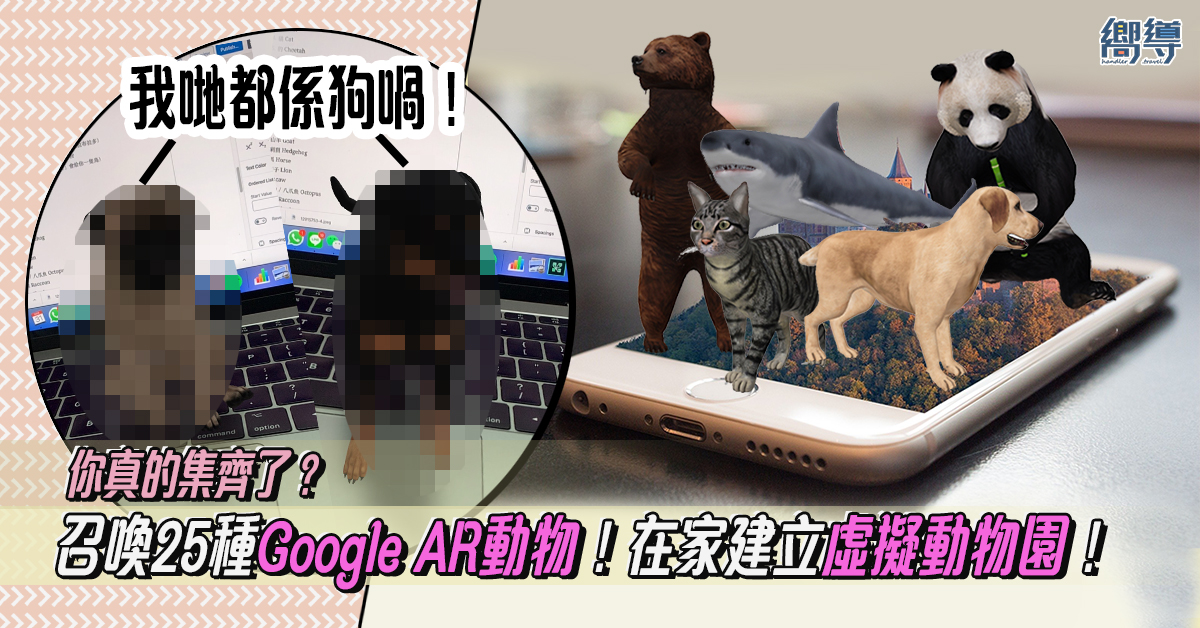 【在家抗疫】召喚25種Google AR動物！在家建立虛擬動物園！