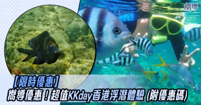KKday 潛水 浮潛 香港好去處 香港水上活動 水上活動 香港潛水 香港浮潛