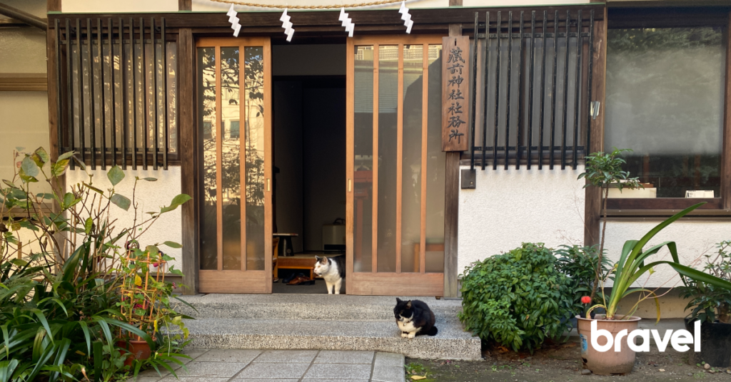 有貓的藏前神社